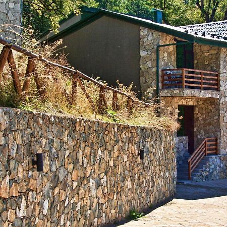 Dilijan Villa 12 Екстериор снимка